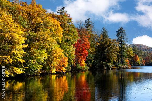 Trees on Lake with Autumn Colors in North Carolina