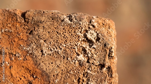Macro close-up of a weathered terracotta brick surface showing porous clay texture, cracks, and white salt efflorescence crystals.