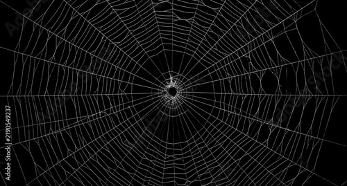 Obraz na plátně Intricate white spider web with a small spider in the center, isolated on a blac