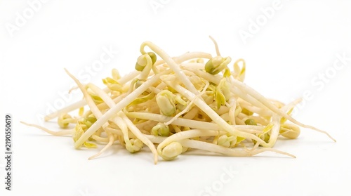 Fresh Mung Bean Sprouts Stacked Isolated on White Background