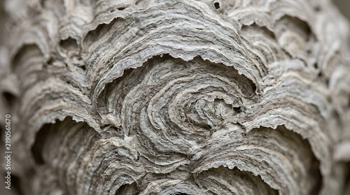 Detailed paper texture of a natural wild hornet nest exterior