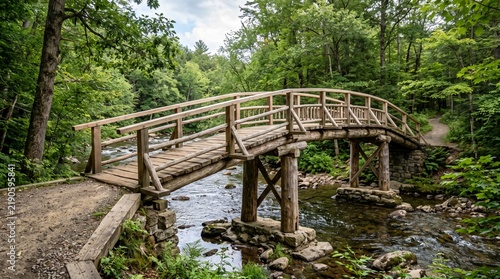 Rustic wooden bridge crossing a clear stream in a lush green forest with a walking path