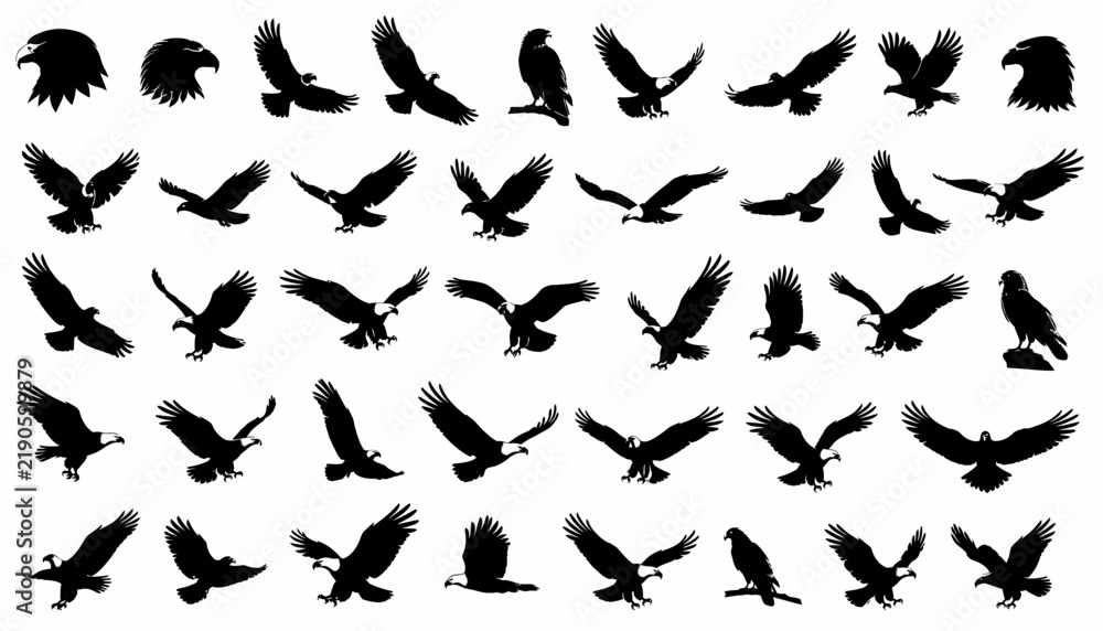 Fototapeta premium Eagle Silhouette Vector Collection