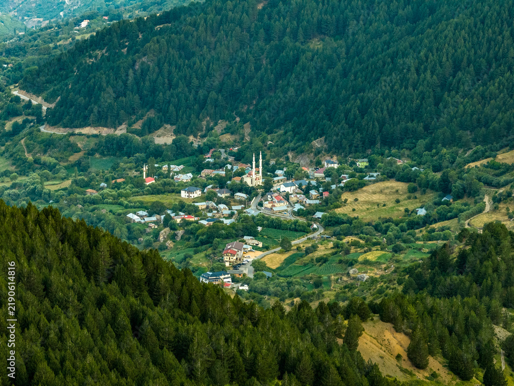 Fototapeta premium Mountain village in a forested valley with a mosque, rural homes, agricultural plots, and winding roads