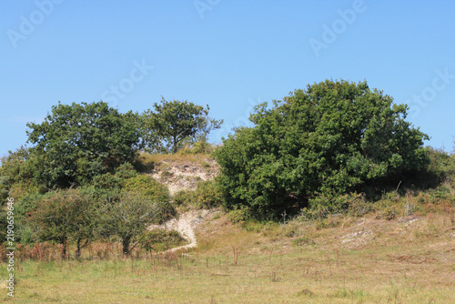 Fototapeta Dune landscape