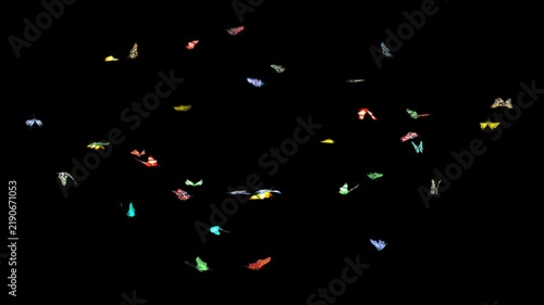 Beautiful Colored Butterflies Flying in the frame. Seamless loop with Alpha Channel.