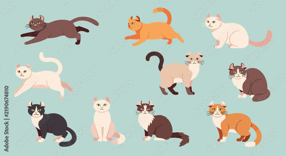 Obraz premium Set of ten cute American Curl cats in various coat colors and playful poses isolated on a light blue backdrop.