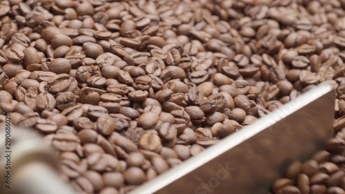 Freshly roasted coffee beans cooling in roaster tray, closeup