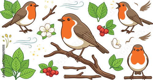 Robin bird vector cartoon illustration set featuring orange breast songbirds tree branches green leaves berries on white background
