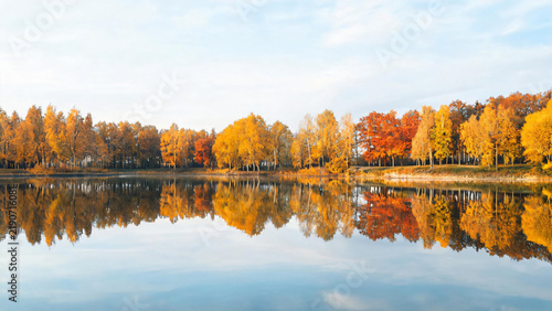 Curved shoreline lined with golden birches