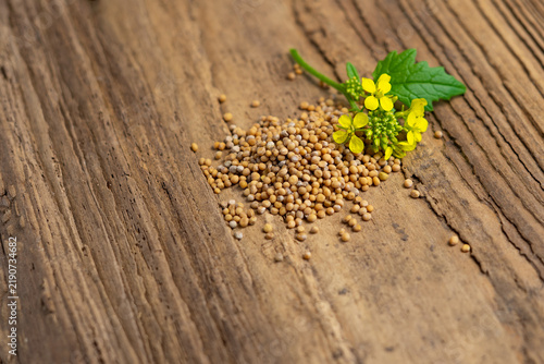 Cuadro en lienzo Yellow mustard flowers and seeds, Christian faith and mustard seed parable conce