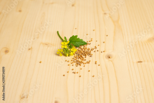 Fotografía Yellow mustard flowers and seeds, Christian faith and mustard seed parable conce