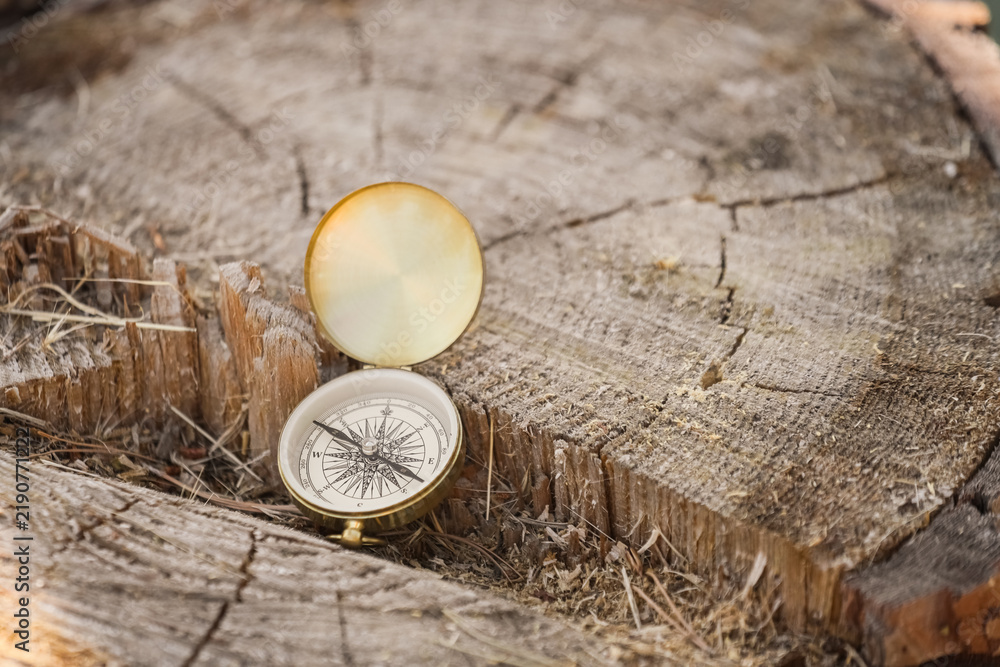 Fototapeta premium Life direction and career path vintage brass compass on a rustic tree stump navigation exploration and finding purpose in nature