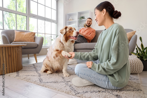 Young Asian woman holding dogs paw and her boyfriend using laptop at home