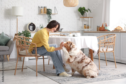 Pretty young woman sitting at table with cute Australian Shepherd dog in kitchen