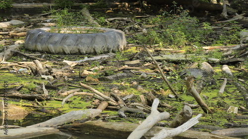 Environmental pollution concept with an old tractor tire discarded in a river with small shrubs growing inside, Mauricie, Quebec, Canada.