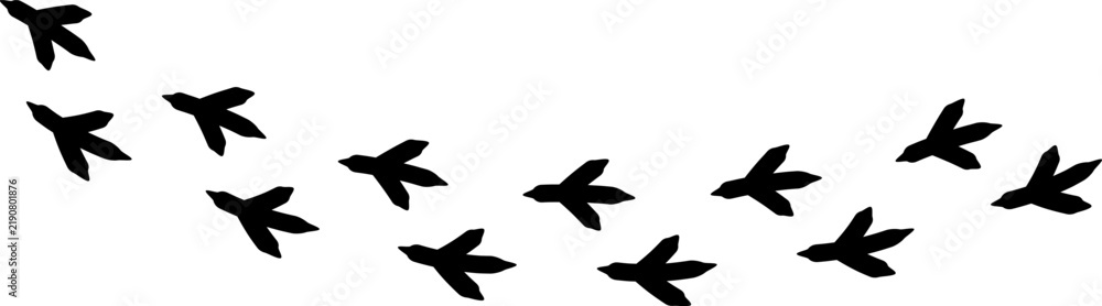 Obraz premium Bird footprint icon, chicken paw vector track, turkey foot print line pattern