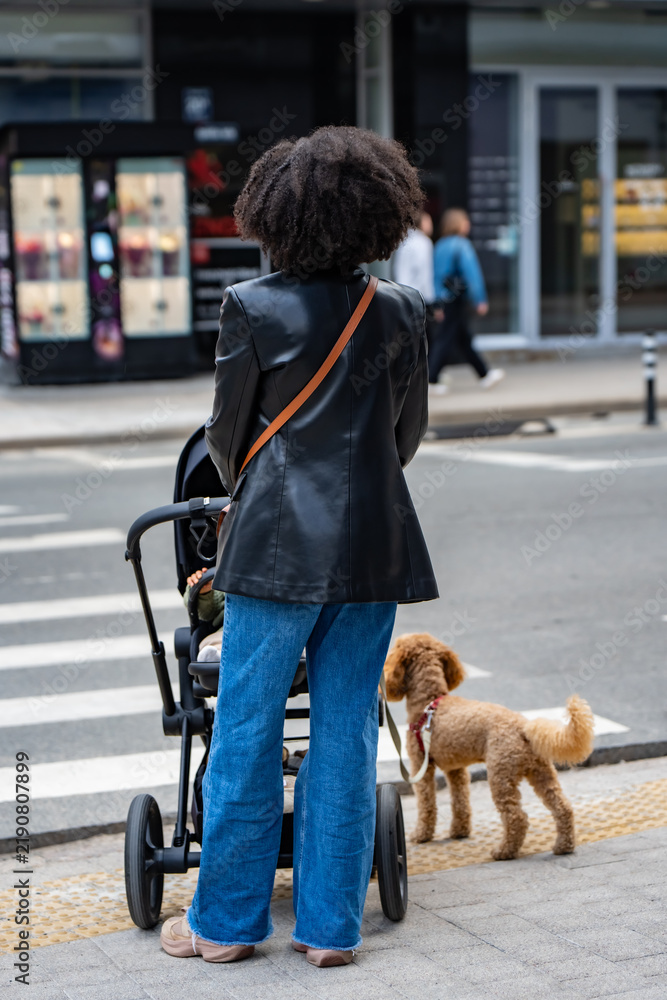 Fototapeta premium Adult with a stroller and a small dog on a leash waiting beside a zebra crossing, illustrating pedestrian access and everyday movement with children and pets