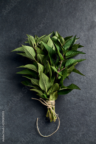 Fresh organic lemon verbena bunch on dark stone background