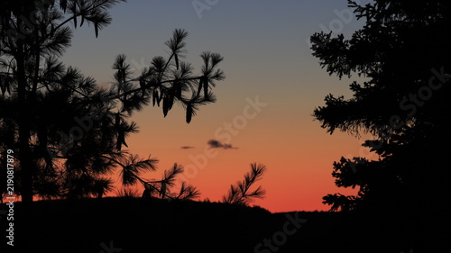 Beautiful mountain sunset landscape in Quebec, Canada, with pine tree silhouettes against a vibrant orange and pink evening sky.