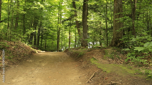 Multi-use dirt trail for hiking and cycling, winding through a lush green deciduous forest in Gatineau Park, Quebec, Canada.
