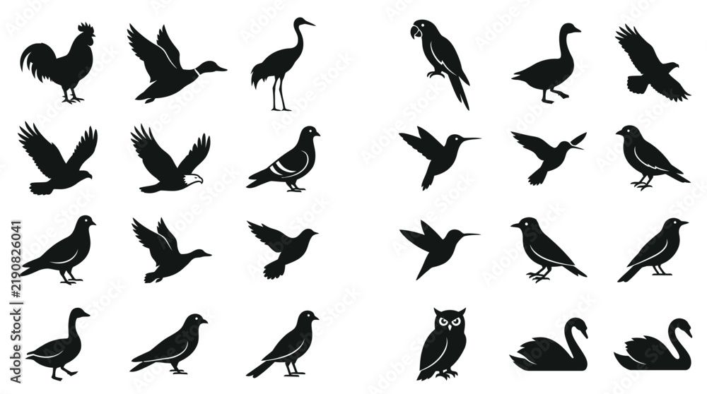 Obraz premium Black silhouettes of various bird species including owls and eagles isolated on a clean white background