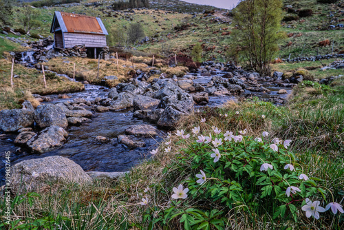 Принти на полотні An old little watermill by the stream