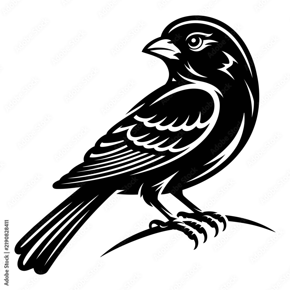 Obraz premium A detailed bird illustration presents a striking black silhouette