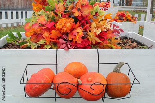 Autumn decoration with orange pumpkins in a black metallic hanging basket attached to a white wooden planter filled with colorful red and yellow artificial maple leaves in an outdoor garden.