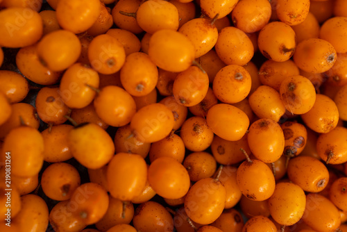 Konstfotografi Full frame texture of ripe orange sea buckthorn berries