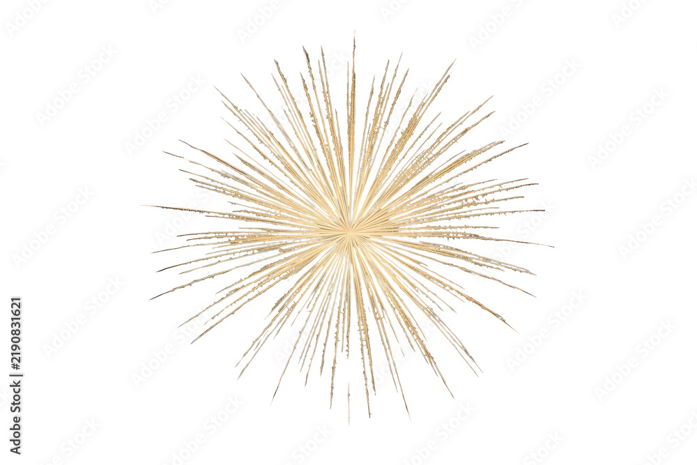 Fototapeta premium Delicate golden radial light burst with many thin rays