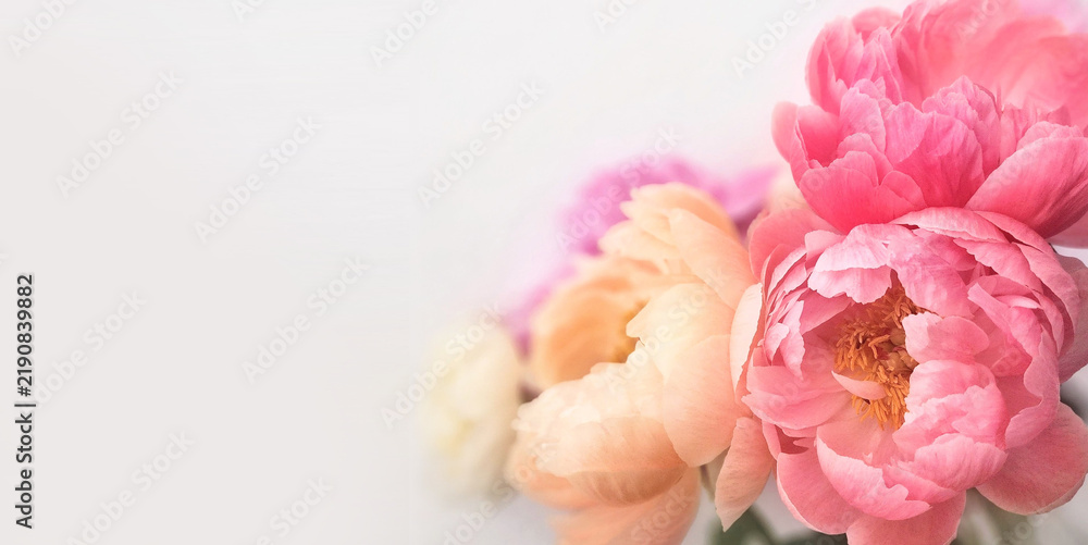 Obraz premium Floral greeting card template featuring pink, peach, and white peonies with empty copy space for text. 