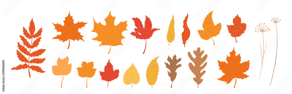 Obraz premium Autumn Leaf Collection Fall Foliage Silhouette