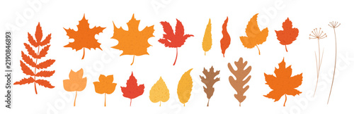 Autumn Leaf Collection Fall Foliage Silhouette