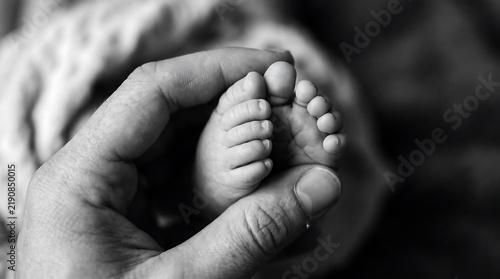 Tender adult hand holding tiny newborn baby feet in black and white