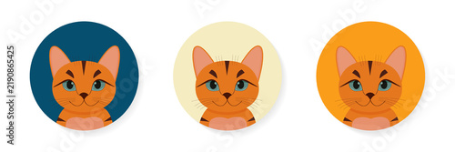cute ginger cat round stickers vector illustration.