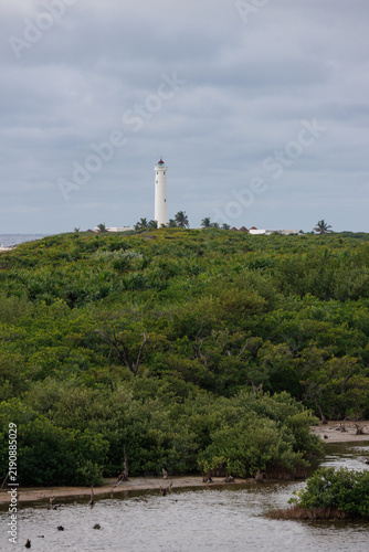 A lighthouse on the coast, at the edge of the forest.