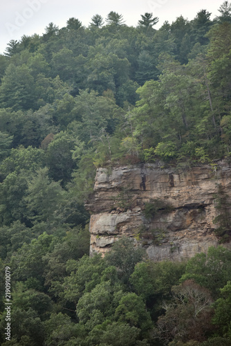 Принти на полотні Craggy forest cliff framed by summer trees