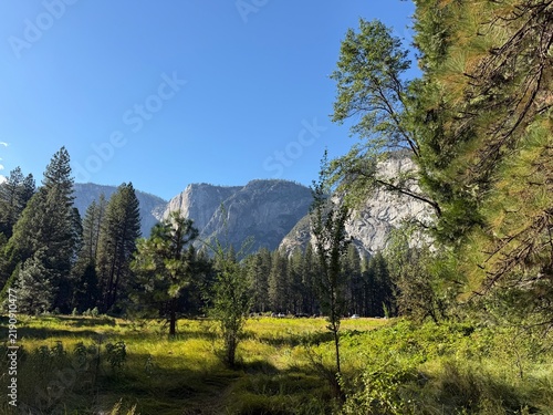 Cuadro en lienzo yosemite national park