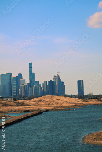 Chicago Skyline with Lake View 4