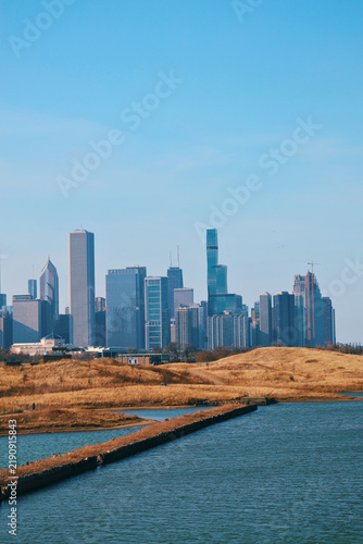 Chicago Skyline with Lake View 5