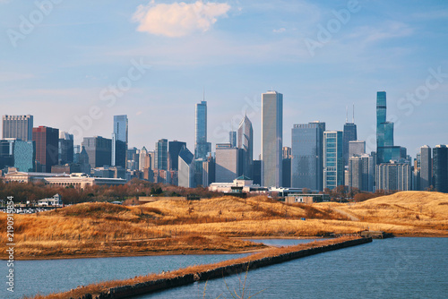 Chicago Skyline with Lake View 2
