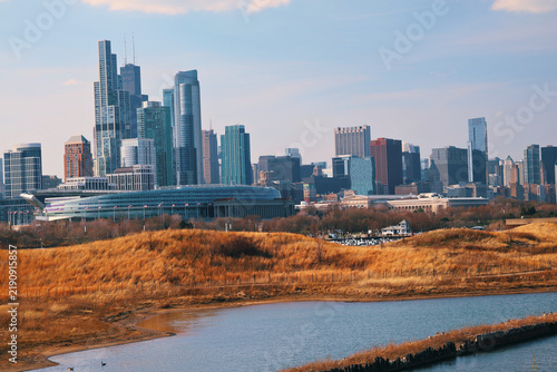 Chicago Skyline with Lake View 3