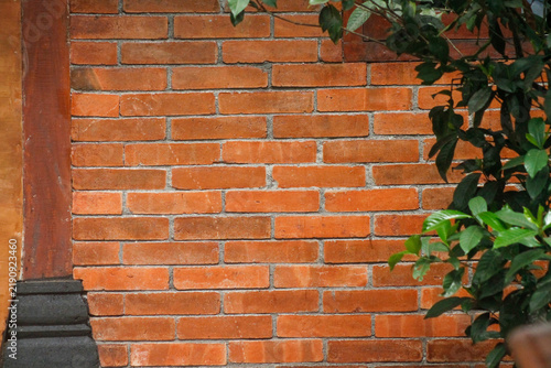 Red brick wall background with green plant leaves	