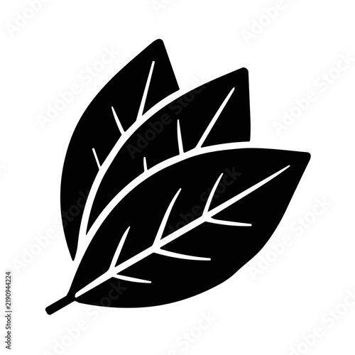 icon Bay leaf vector illustration/