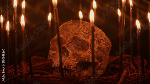 Skull with black witchcraft candles surrounded and tree twigs and branches on black background. Slow motion shot of flames on wicks. Witchcraft ritual and magic alchemy human skull for Halloween