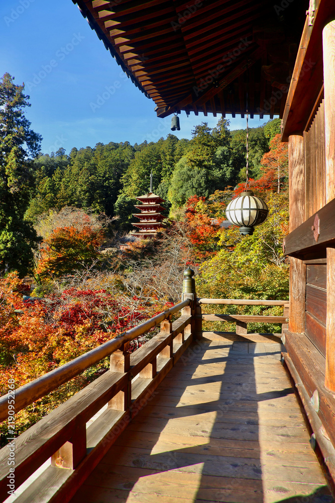 Obraz premium 秋の長谷寺・本堂からの五重塔(奈良県・桜井市)