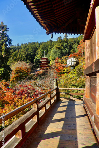 秋の長谷寺・本堂からの五重塔（奈良県・桜井市）