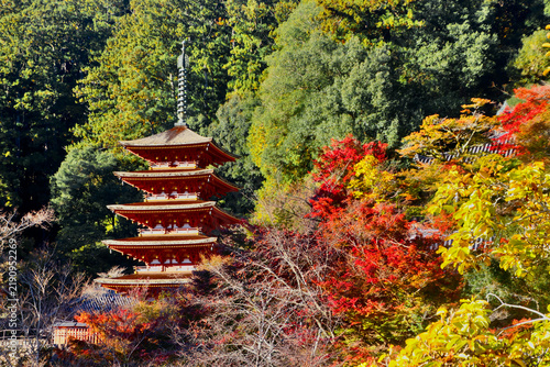 秋の長谷寺・本堂からの五重塔（奈良県・桜井市）