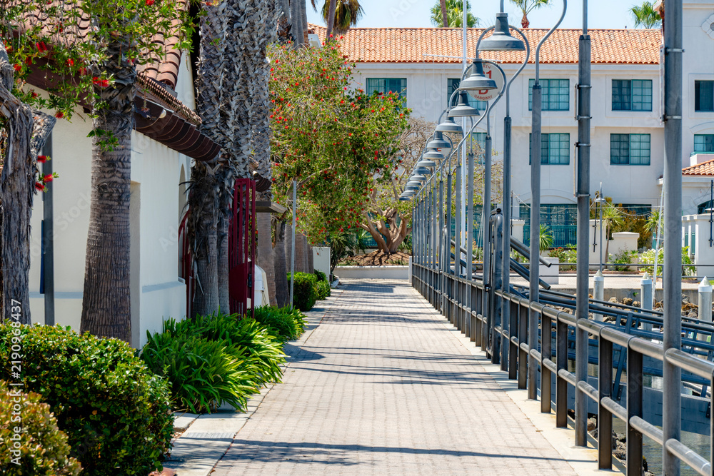 Fototapeta premium Sunny walkway along the harbor with palm trees and waterfront buildings